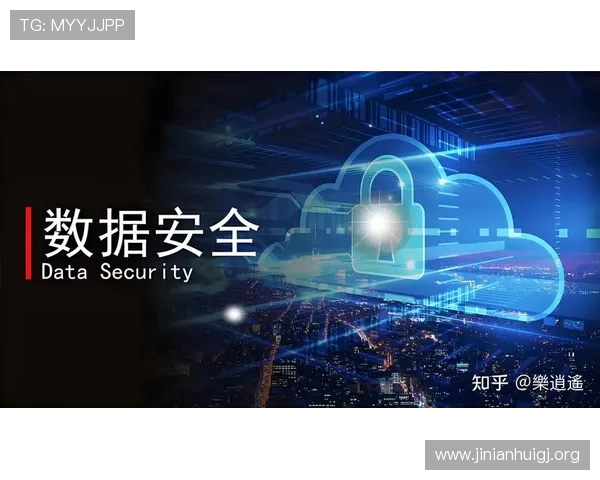金年会官方网站登录入口网页版安全保障措施，保障用户账号信息安全与个人隐私保护